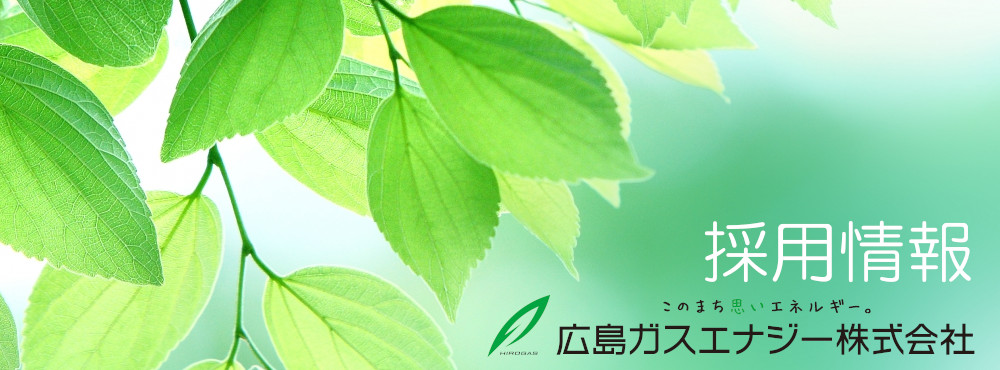 採用情報